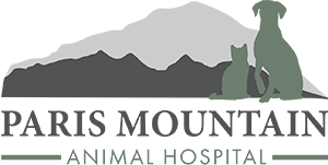 Paris Mountain Animal Hospital